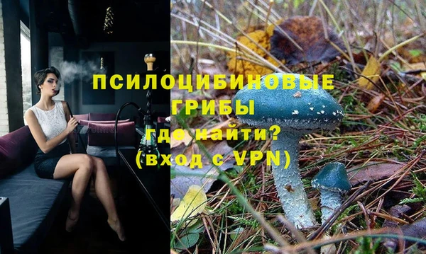 шишки Вяземский